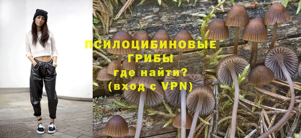 СК Володарск