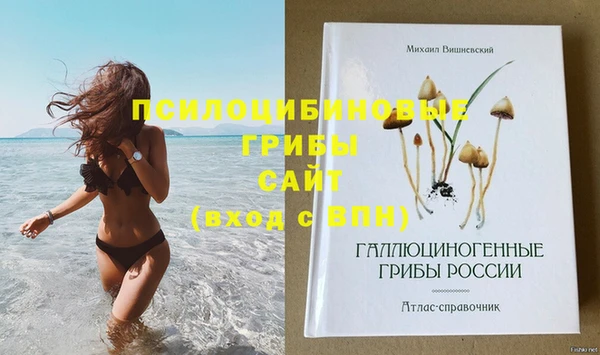 ПСИЛОЦИБИНОВЫЕ ГРИБЫ Горно-Алтайск