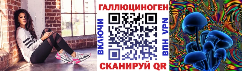 цена наркотик  Елизово  Псилоцибиновые грибы мицелий 