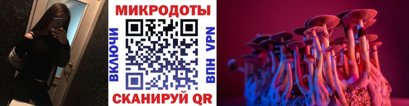Псилоцибиновые грибы мицелий Елизово